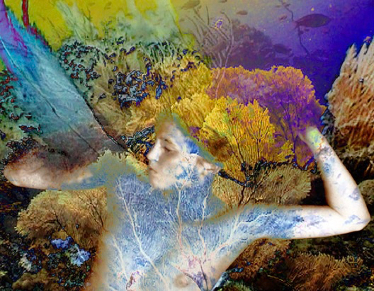 Sylvie Covey at Alexander/Heath Contemporary Sylvie Covey at Alexander/Heath Contemporary