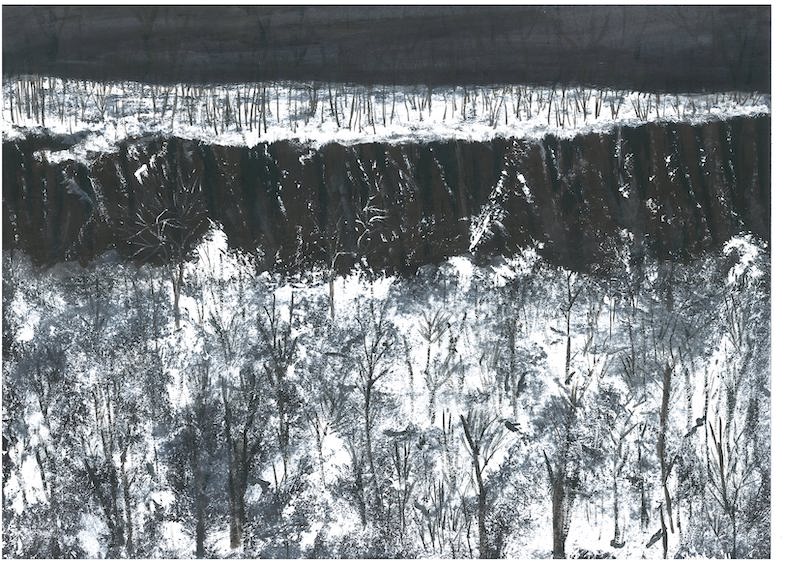 Shobha Vanchiswar Shobha Vanchiswar