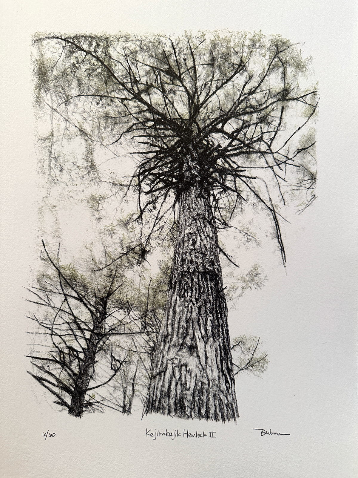 Printed in Celebration