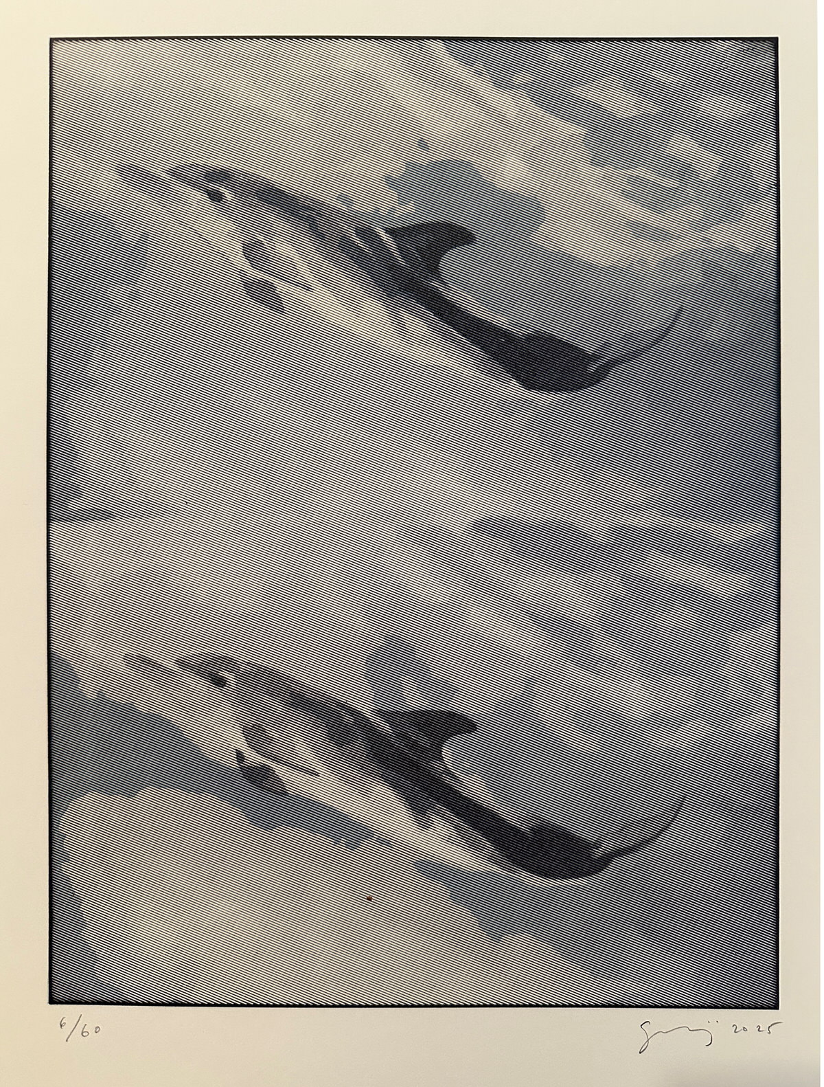 Printed in Celebration